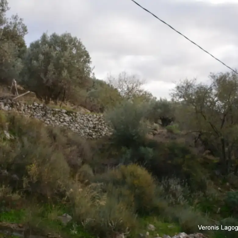 Φιλώτι Νάξος / Οικόπεδο 205 m2 / 640614
