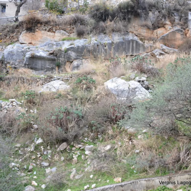 Φιλώτι Νάξος / Οικόπεδο 205 m2 / 640614