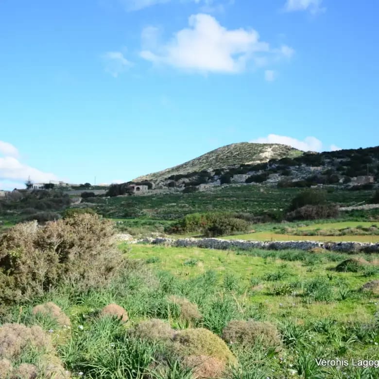 Καστράκι Νάξος / Αγροτεμάχιο4,098 m2 / 640615