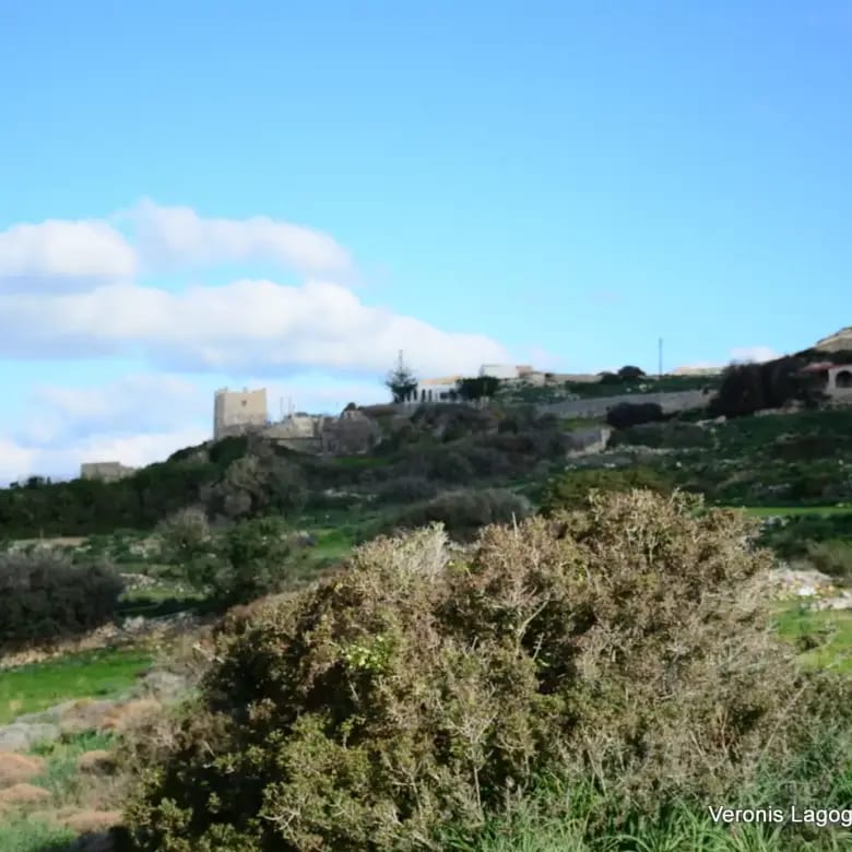 Καστράκι Νάξος / Αγροτεμάχιο4,098 m2 / 640615