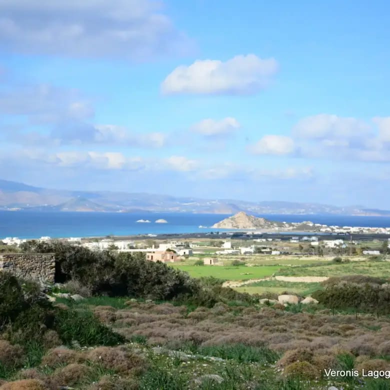 Καστράκι Νάξος / Αγροτεμάχιο4,098 m2 / 640615