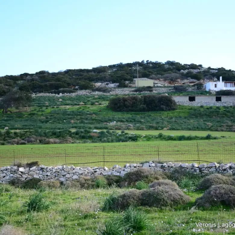 Καστράκι Νάξος / Αγροτεμάχιο4,098 m2 / 640615