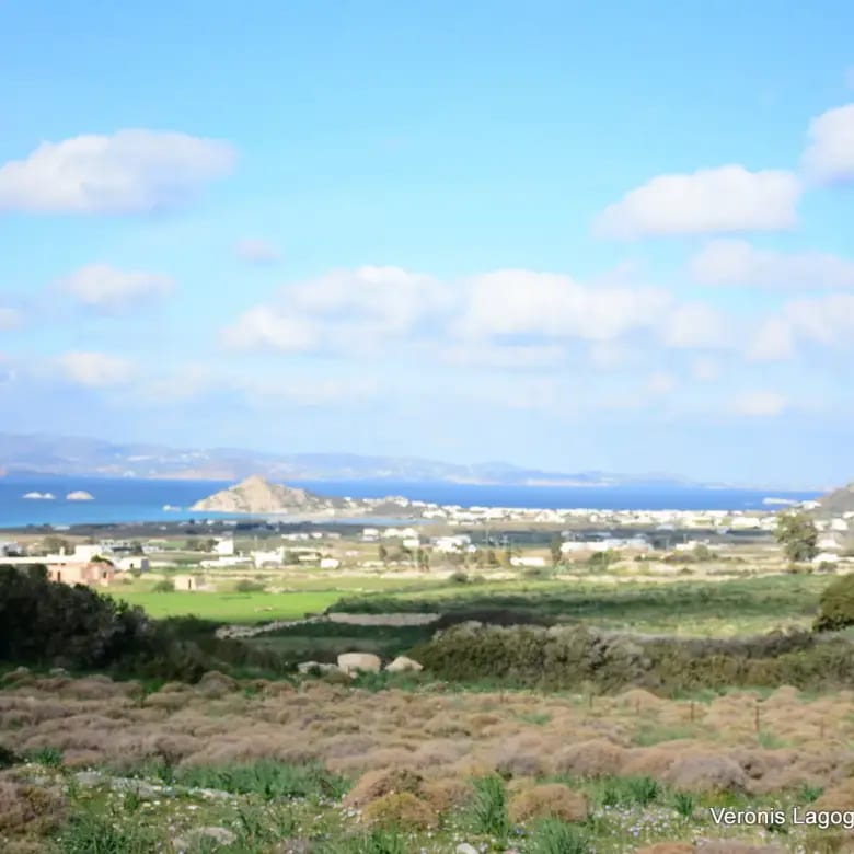 Καστράκι Νάξος / Αγροτεμάχιο4,098 m2 / 640615