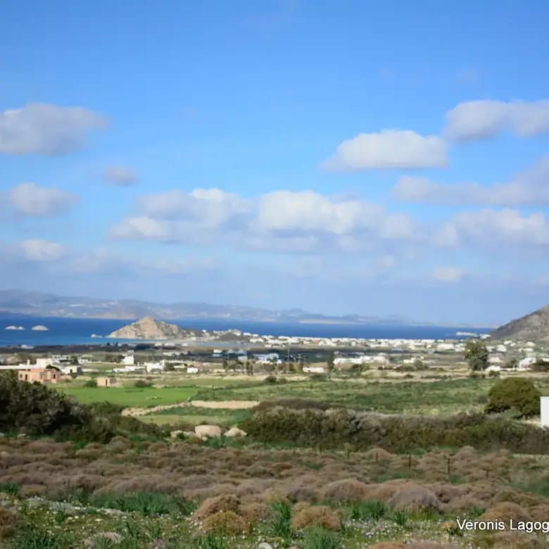 Καστράκι Νάξος / Αγροτεμάχιο4,098 m2 / 640615