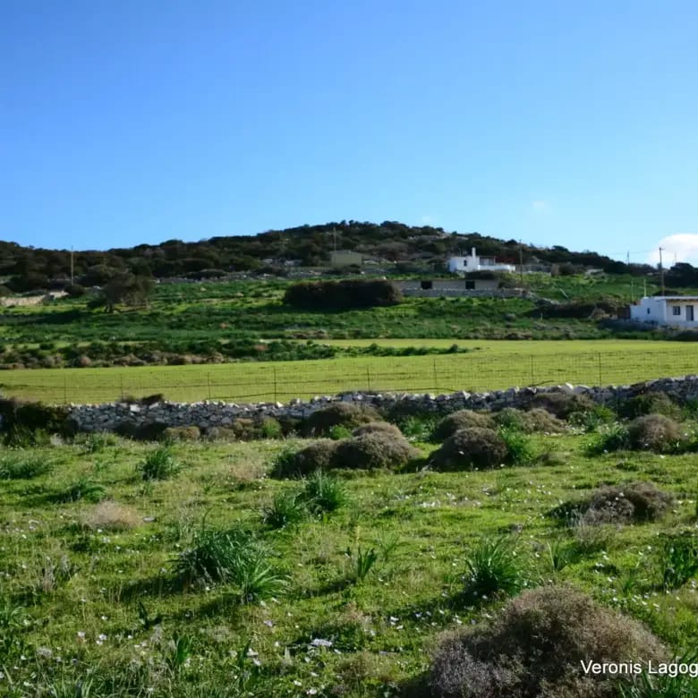Καστράκι Νάξος / Αγροτεμάχιο4,098 m2 / 640615
