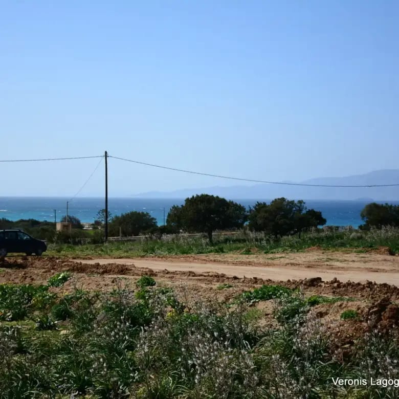 Καμάρια Αλυκό / Αγροτεμάχιο με Άδεια Κατασκευής Δύο Βιλών /640616