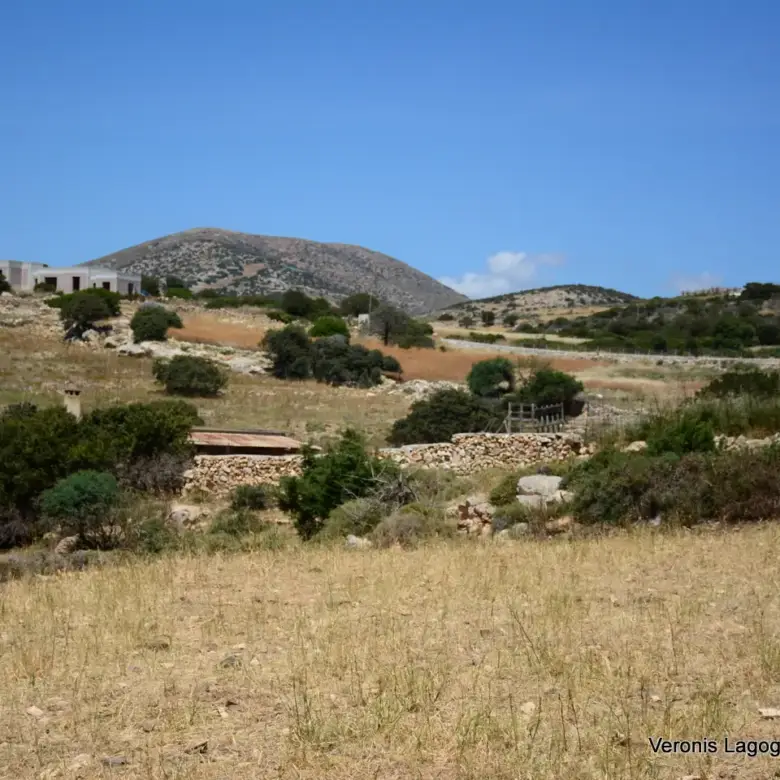 Glyfada Naxos – Parcel 4.556m2 / 640630
