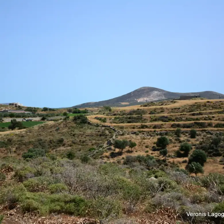 Vivlos Naxos – Land 5.300m2 / 640629
