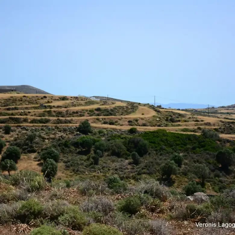 Vivlos Naxos – Land 5.300m2 / 640629