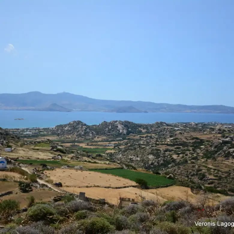 Vivlos Naxos – Land 5.300m2 / 640629
