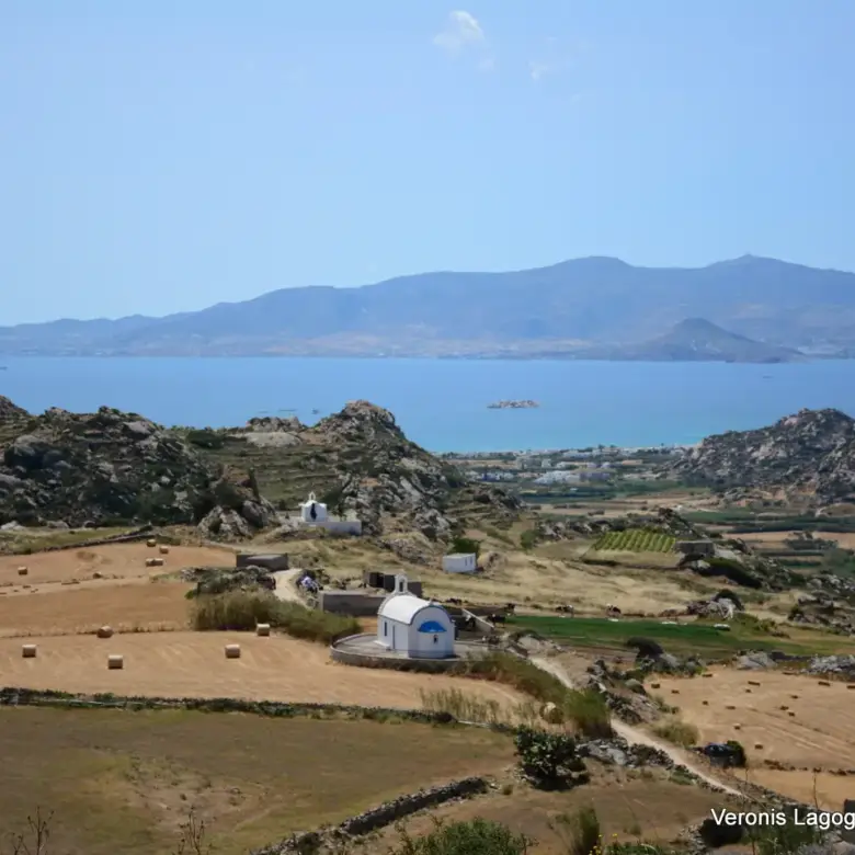 Vivlos Naxos – Land 5.300m2 / 640629
