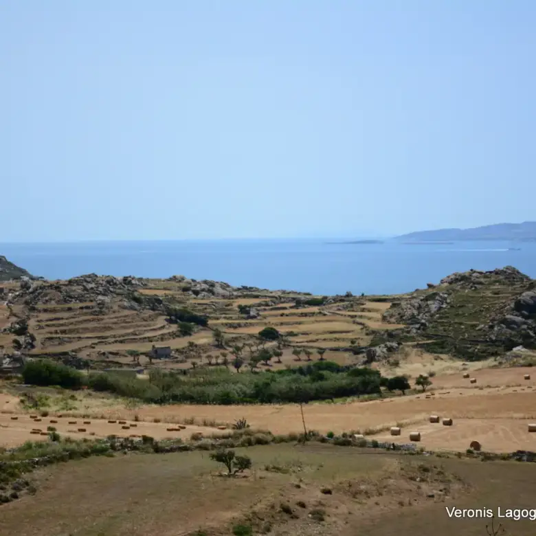 Vivlos Naxos – Land 5.300m2 / 640629
