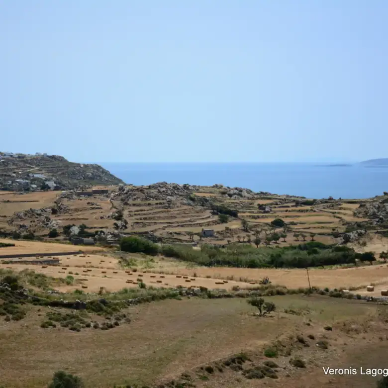 Vivlos Naxos – Land 5.300m2 / 640629