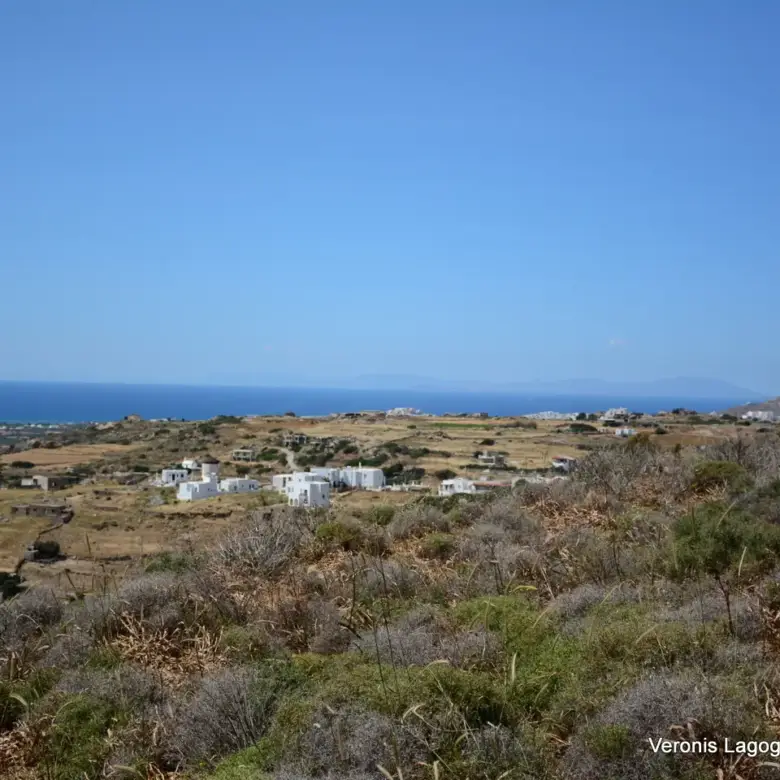 Vivlos Naxos – Land 5.300m2 / 640629