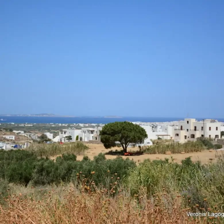 Galanado Naxos – Plot 1000m2 each / 640640