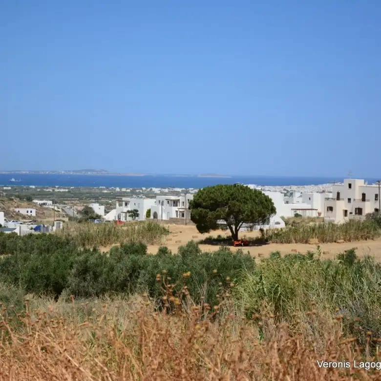 Galanado Naxos – Plot 1000m2 each / 640640