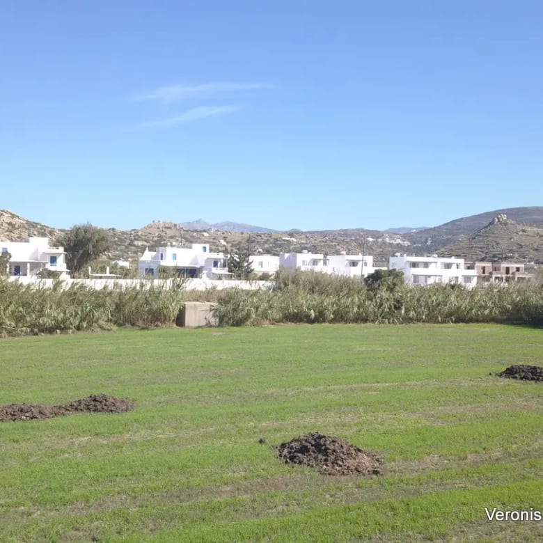 Plaka Naxos – Parcel 4,580m2 / 640652