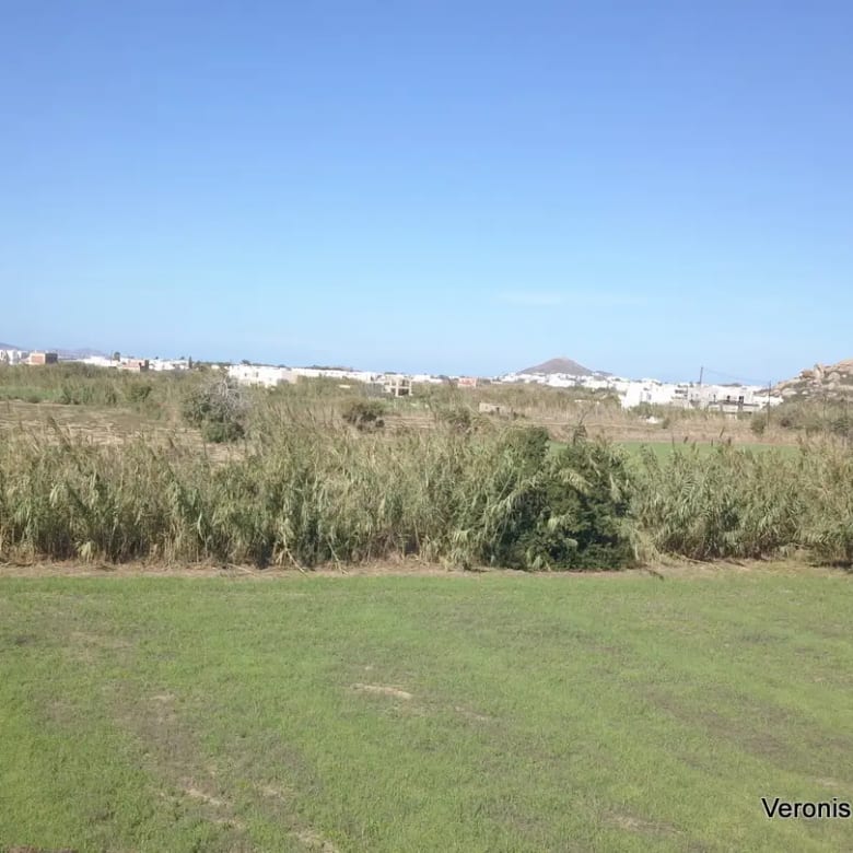 Plaka Naxos – Parcel 4,580m2 / 640652