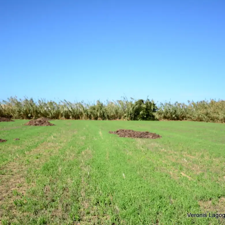 Plaka Naxos – Parcel 4,580m2 / 640652