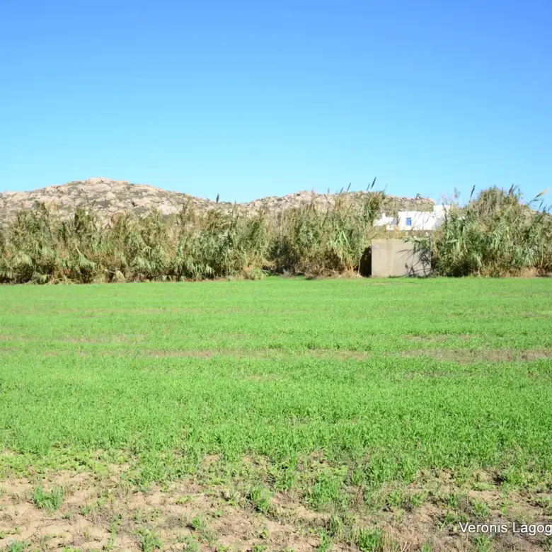 Plaka Naxos – Parcel 4,580m2 / 640652