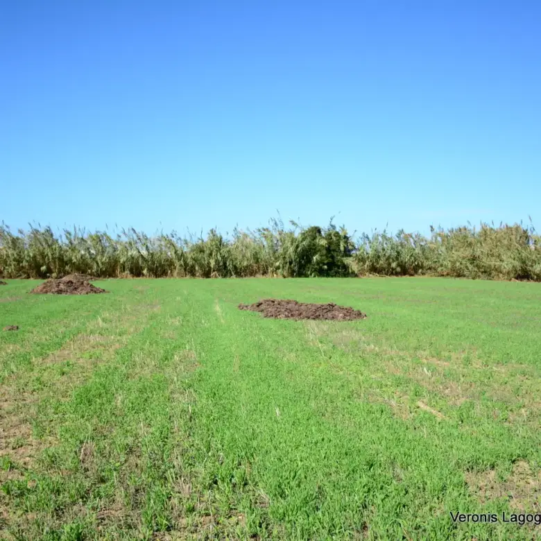 Plaka Naxos – Parcel 4,580m2 / 640652