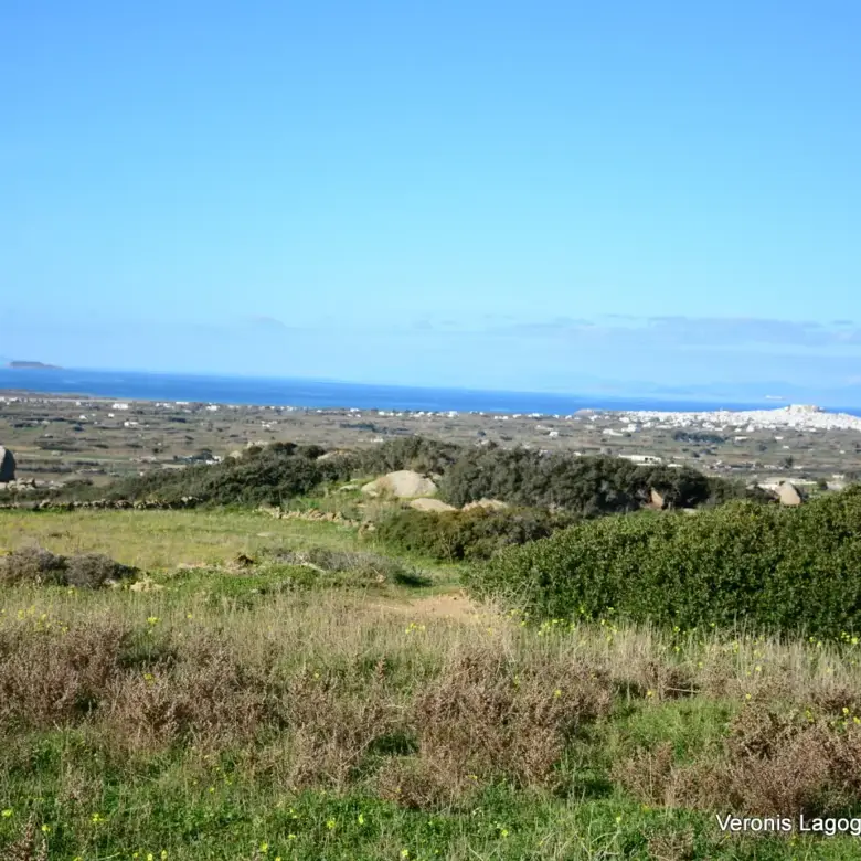 Hill of Vivlos Naxos / House of 152m2 / 640658