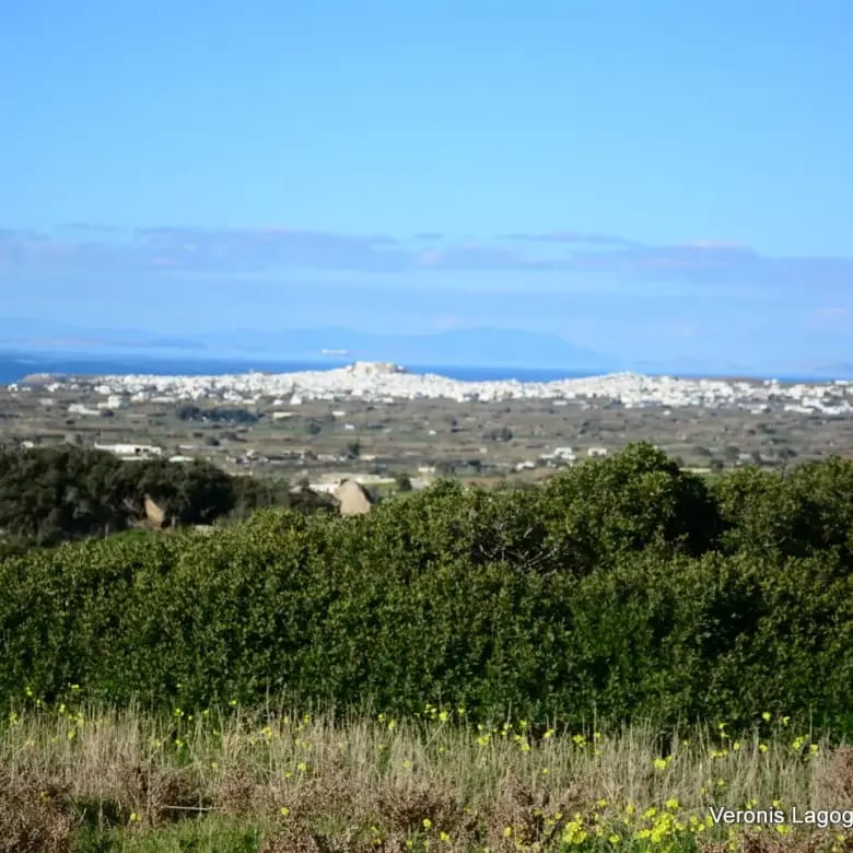 Hill of Vivlos Naxos / House of 152m2 / 640658