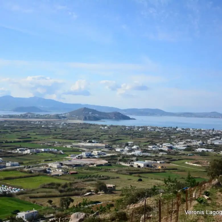 Agidia Naxos / Plot 4.230m2 / 640659