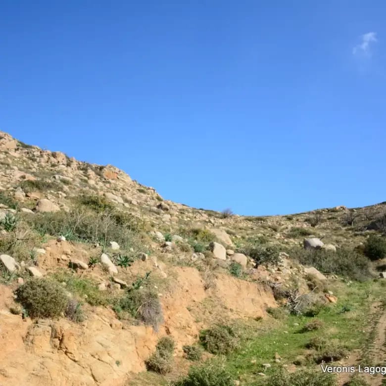 Agidia Naxos / Plot 4.230m2 / 640659