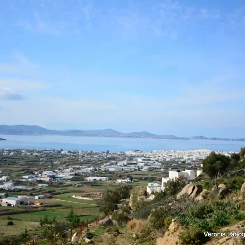Agidia Naxos / Plot 4.230m2 / 640659