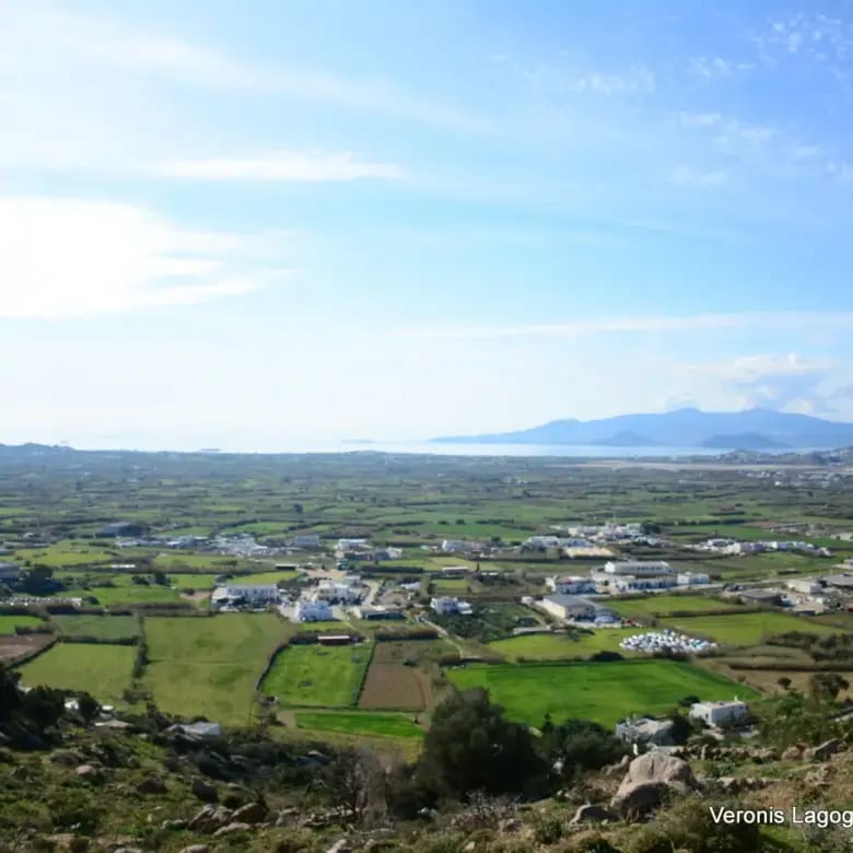 Agidia Naxos / Plot 4.230m2 / 640659