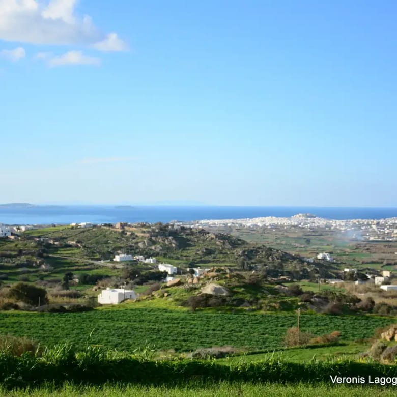 Galanado Naxos / Parcel 6,400m2 / 640662