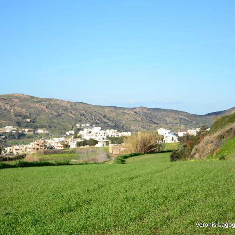 Galanado Naxos – Plot 4.600m2 / 640663