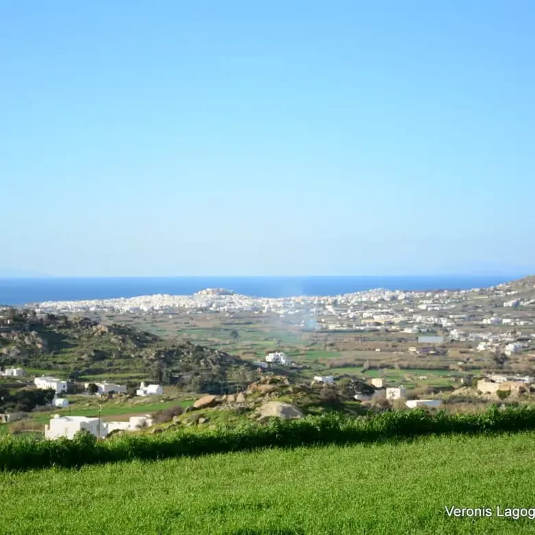 Galanado Naxos – Plot 4.600m2 / 640663