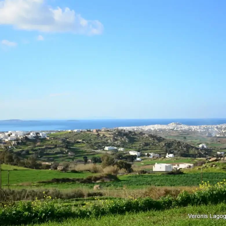 Galanado Naxos / Parcel 6,400m2 / 640662