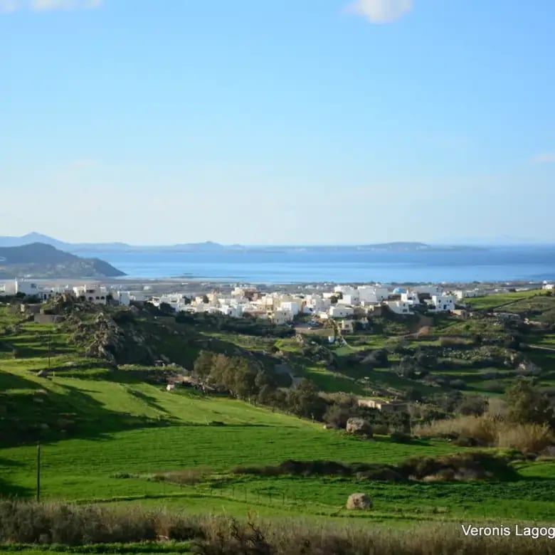 Galanado Naxos – Plot 4.600m2 / 640663