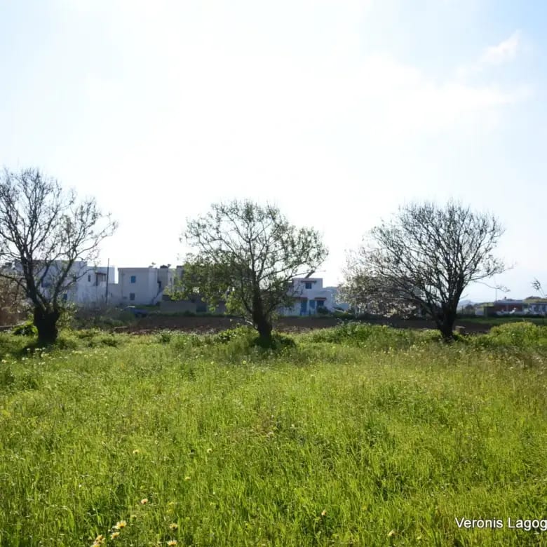 Vivlos Naxos – Plot 1,258m2 / 640668
