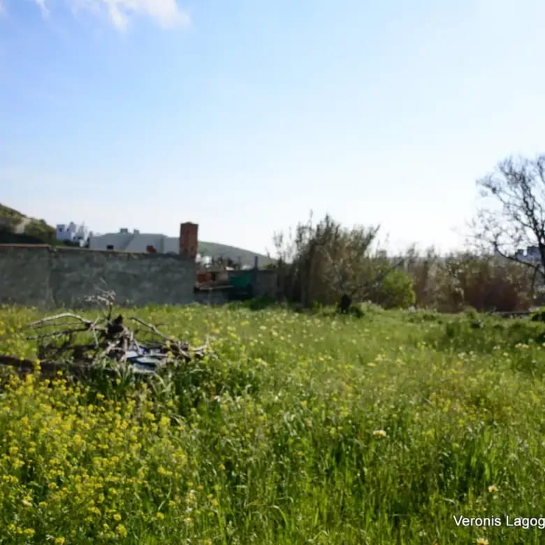 Vivlos Naxos – Plot 1,258m2 / 640668